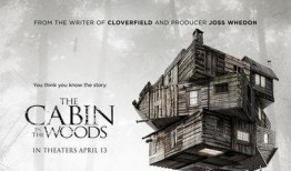 林中小屋美版在线观看,美版在线观影指南